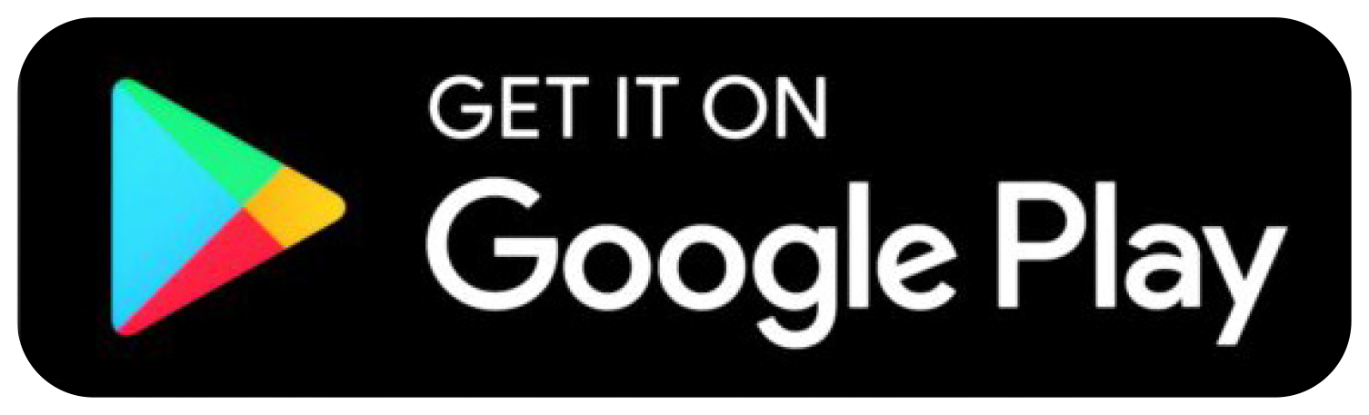 Google Play Store Icon